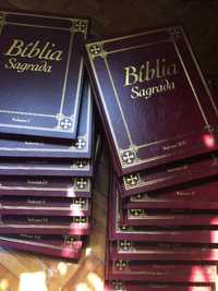 15 livros - Bíblia Sagrada