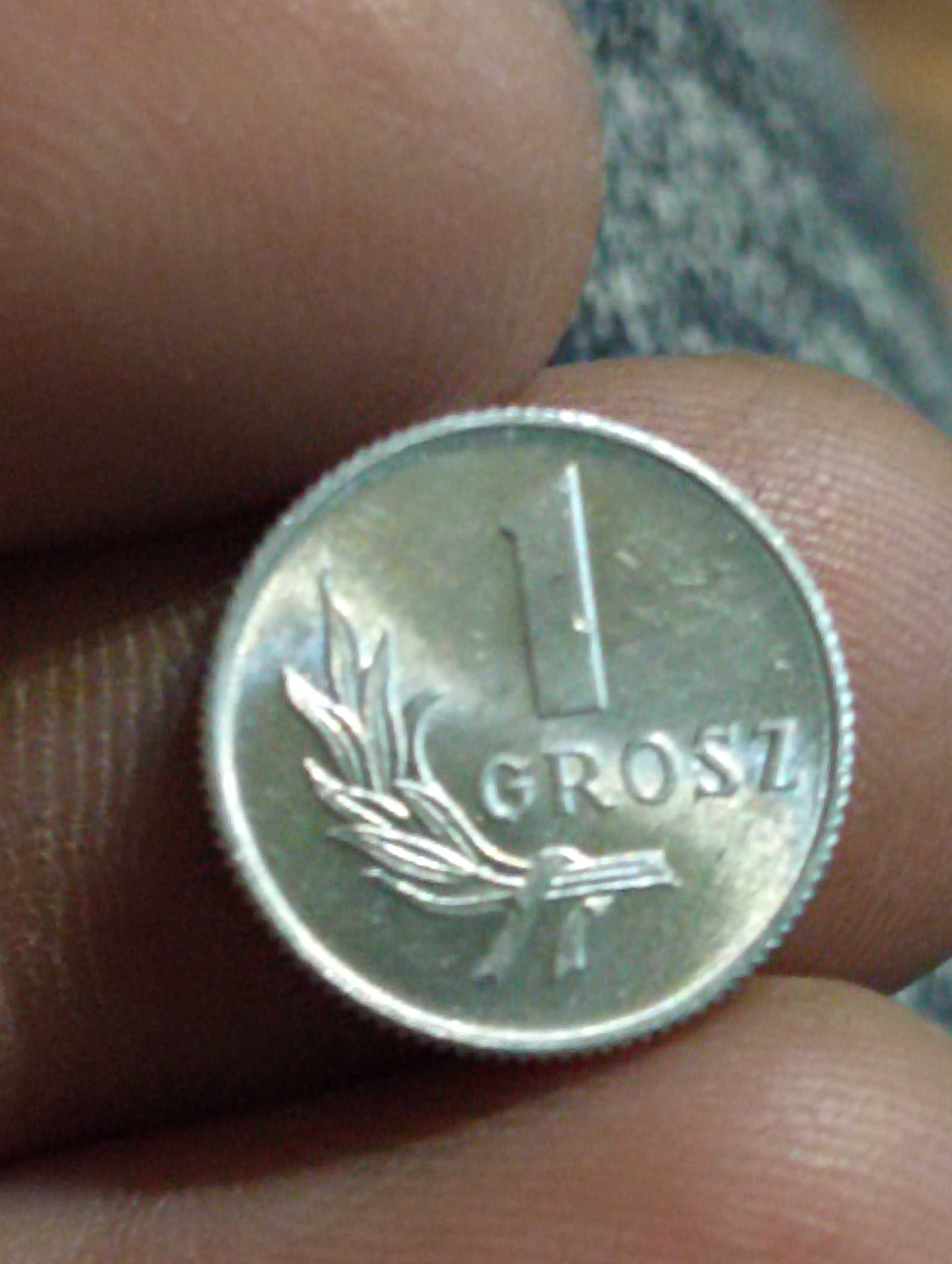 Moneta 1 grosz 1949 rok bzm