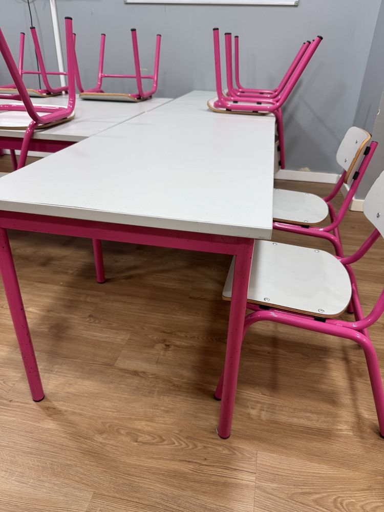 Mesas e cadeiras Escolares - Estrutura Metálica (Rosa)