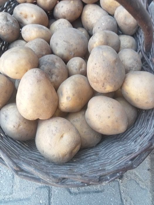 Sprzedaż ziemniakow