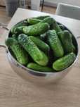 Ogórki gruntowe 5kg świeże