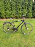 Rower pegasus solero sl