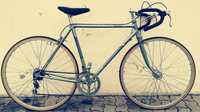 Bicicleta Vilar Speed VI