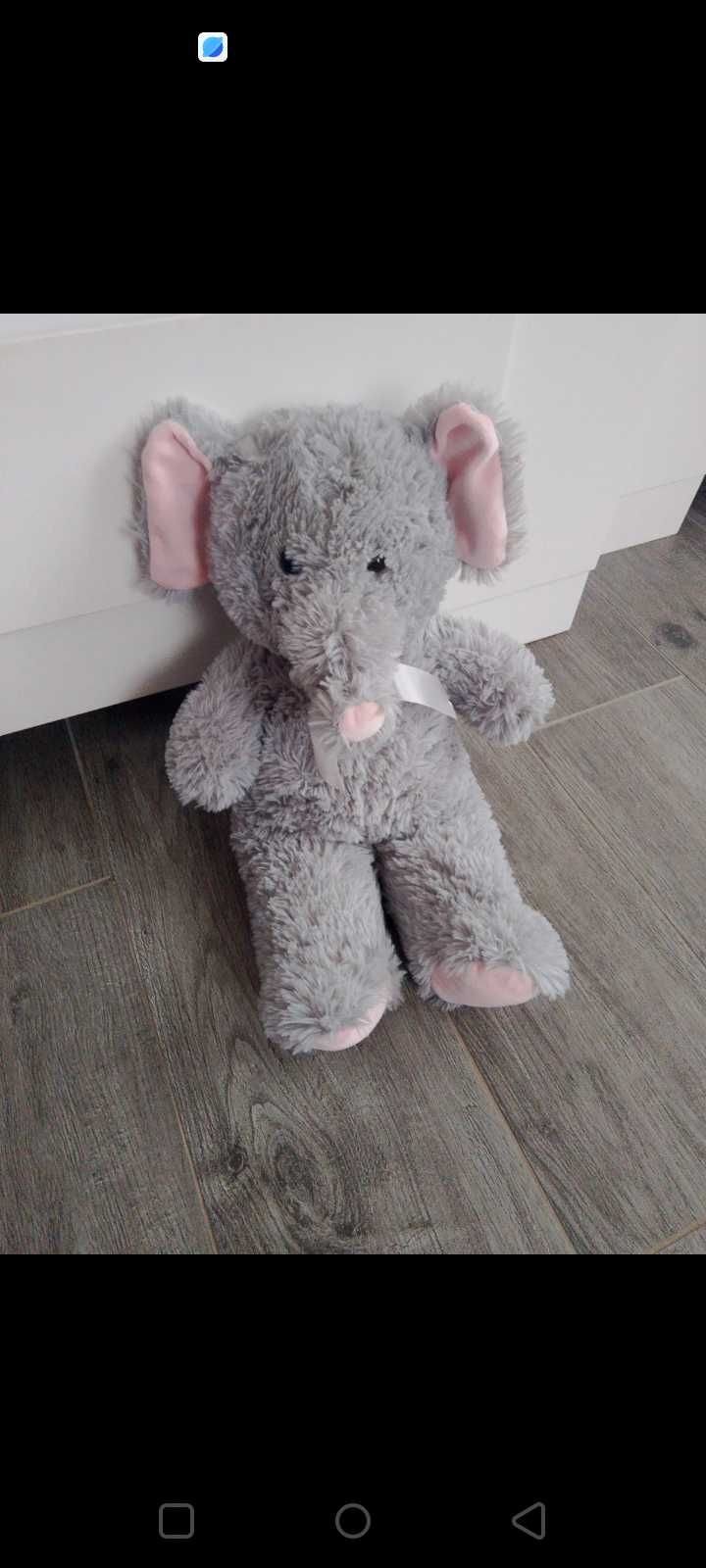 Misie , pluszaki