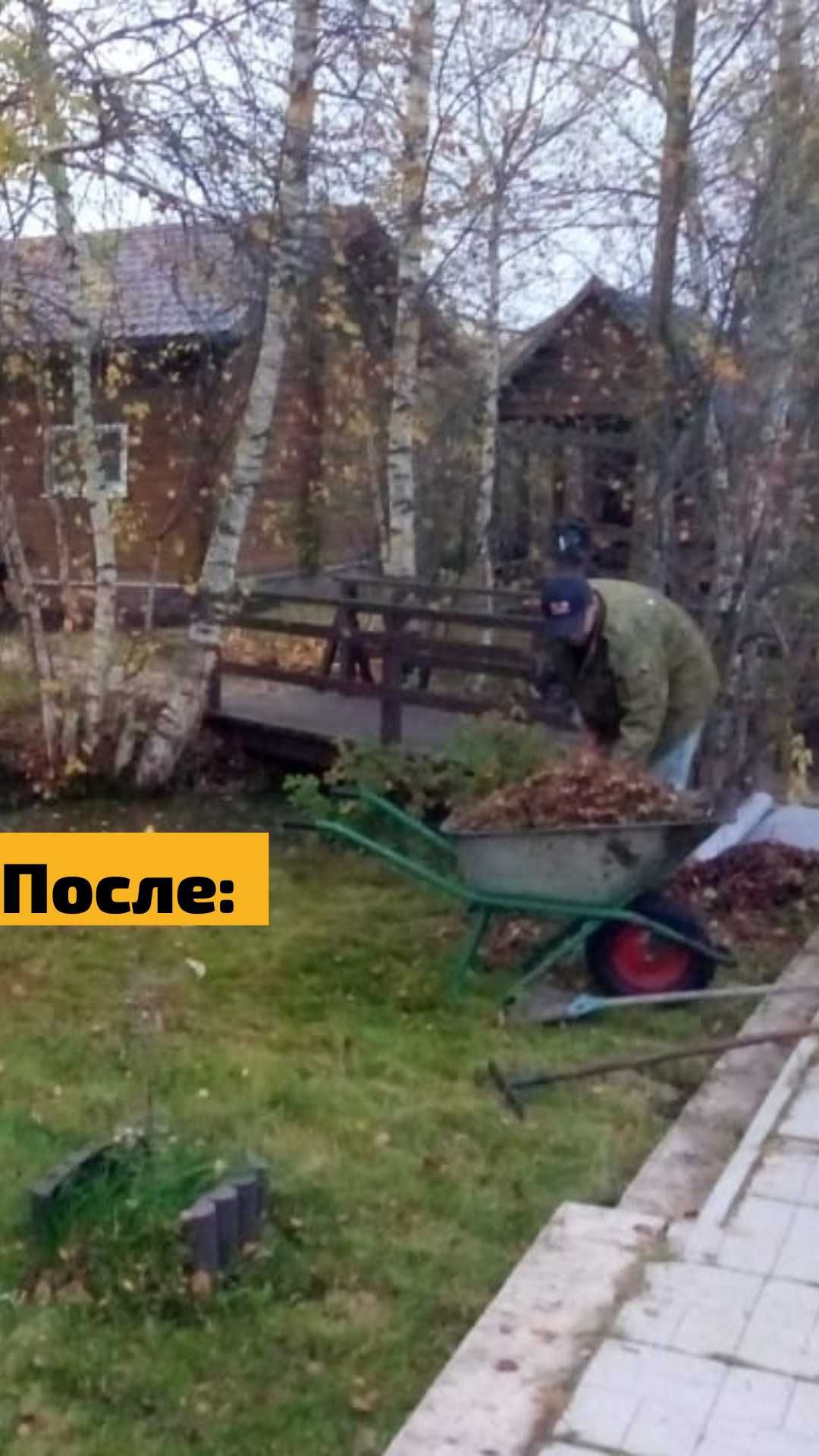 Уборка участка в комплексе. Удаление деревьев, пней. Покос газона