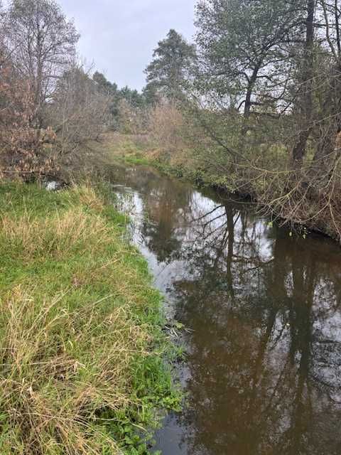 Działka rekreacyjna  Grabica, las rzeka