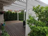 pergola, altana ogrodowa, zadaszenie tarasu drewniane poliwęglan lity
