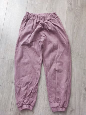 Spodnie dresowe alladynki Zara 134