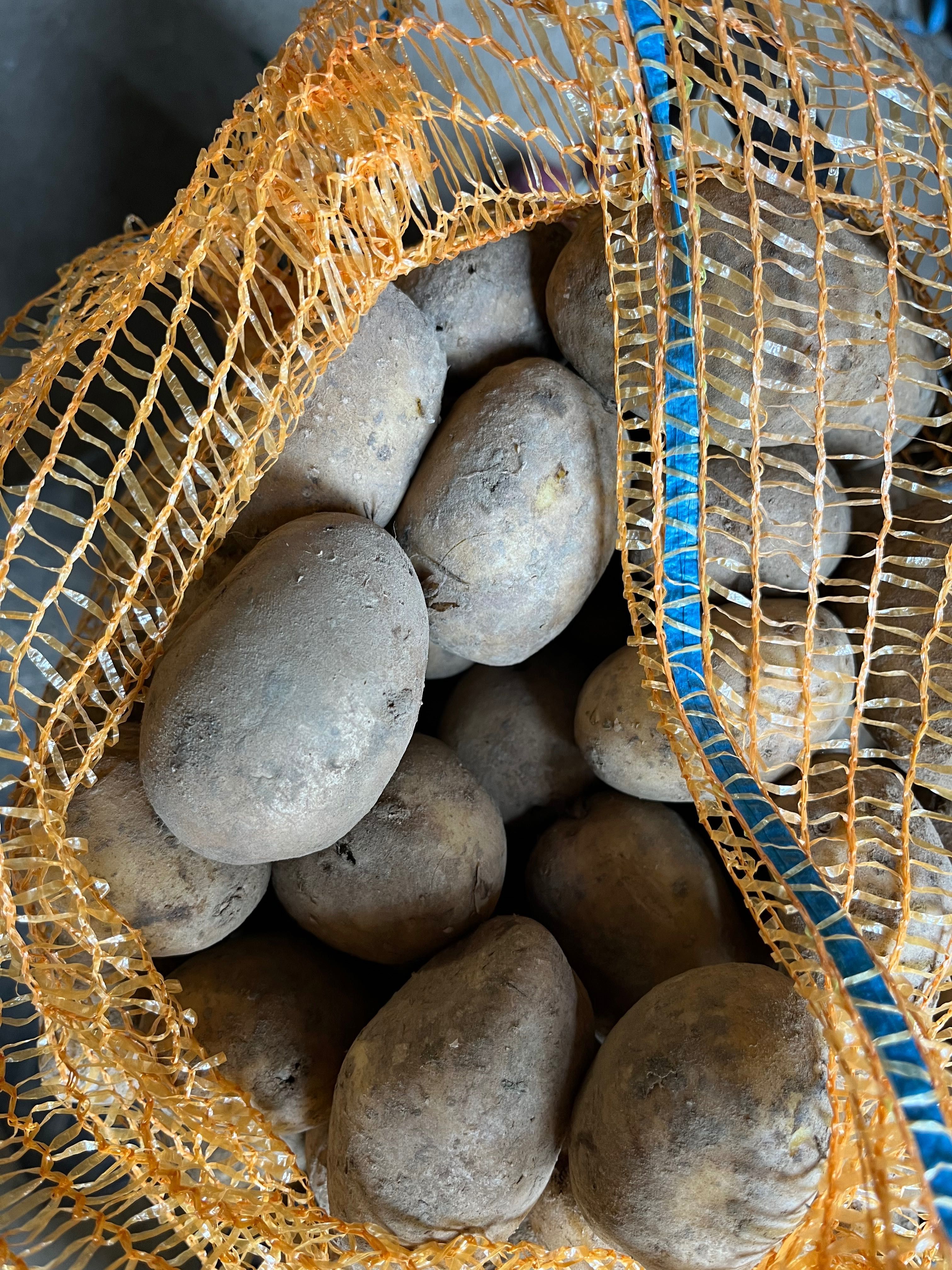 Ziemniaki sadzeniaki Soraja Soraya