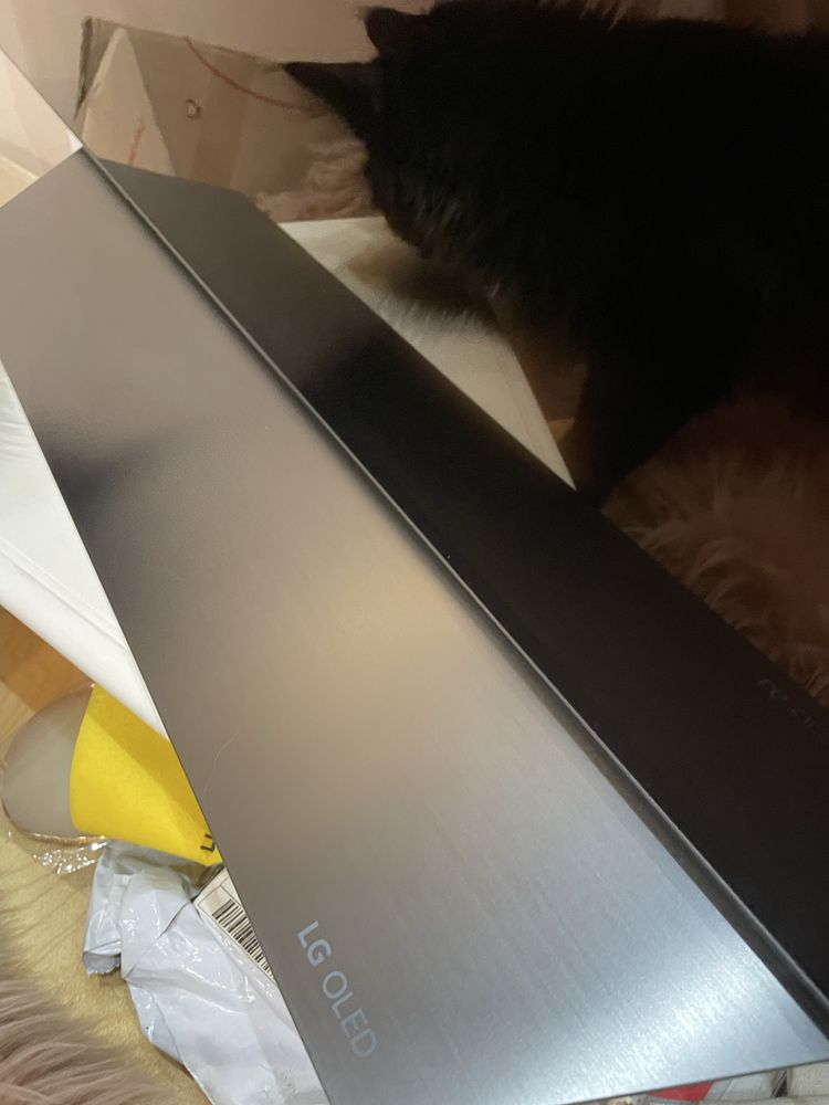 Телевизор LG OLED55B8