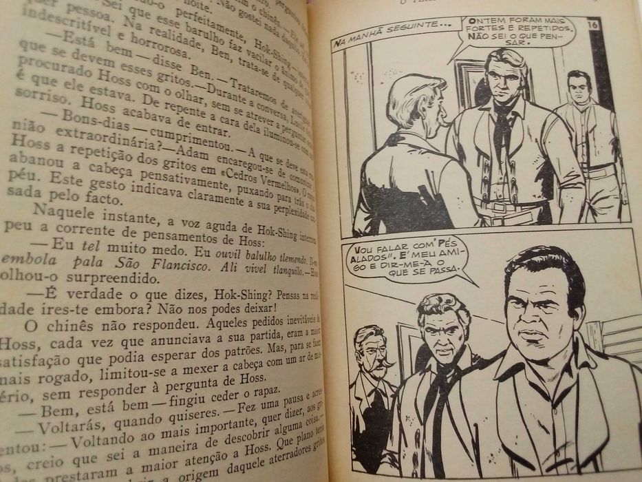 Bonanza em O templo mediterrâneo