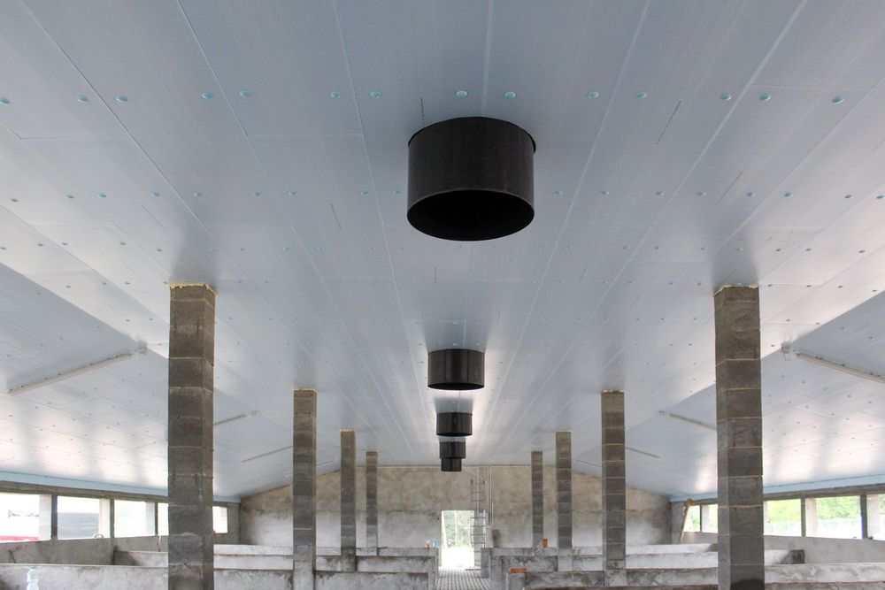 Sufit Strop do Tuczarni Błękitne Panele Izolacyjne Styrodur XPS AGRO