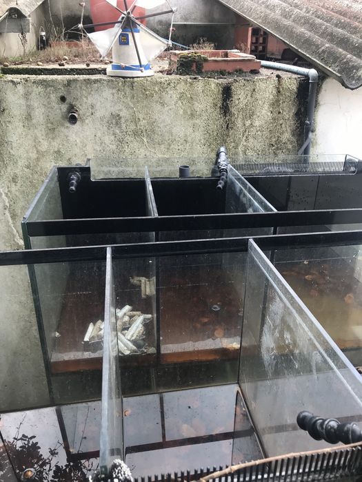 Aquario “grande oportunidade”