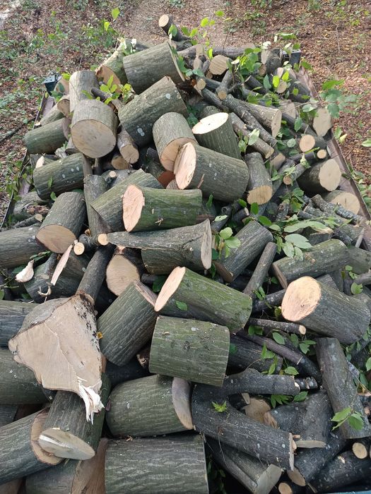 Продам дрова: рубані, чурки твердої породи