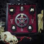 Taksydermia szkielet myszy pentagram