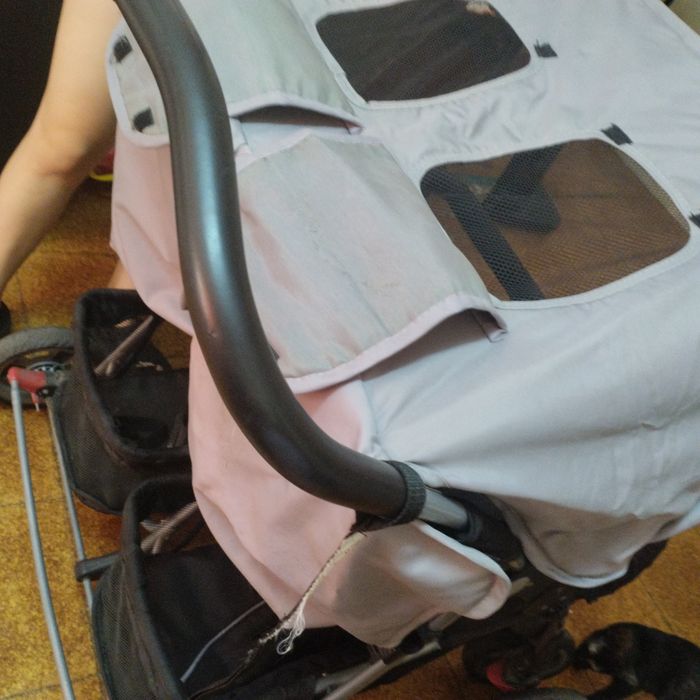 Carro de bebê de gêmeos