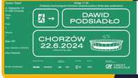 Bilet VIP Dawid Podsiadło Chorzów - 22.06.2024, sektor 15D, rz. 1 m. 1