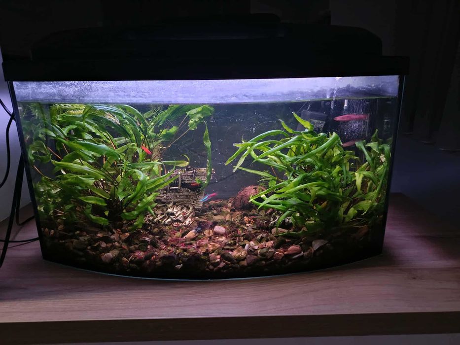 Akwarium 65l Okazja