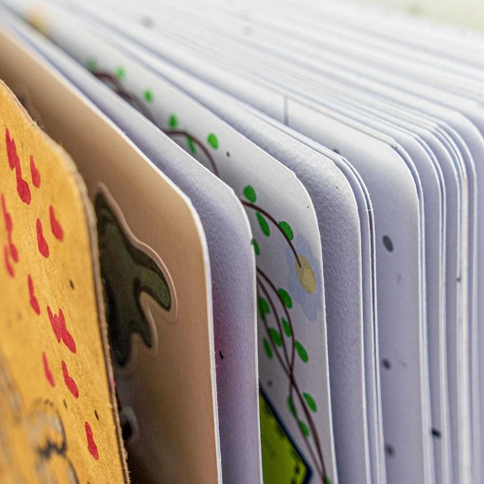 Pamiętnik do szkoły, przedszkola