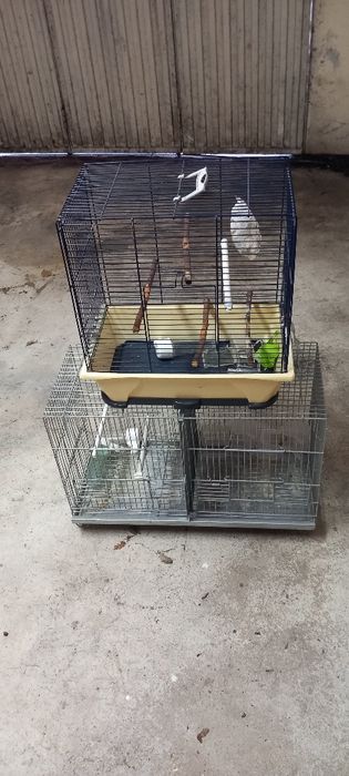 Quatro gaiola em bom estado
