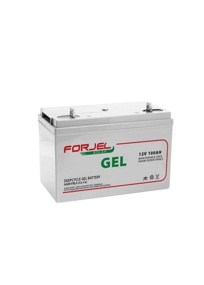 Акумулятор для систем безперебійного живлен Premium FORJEL 100 Ah 12V