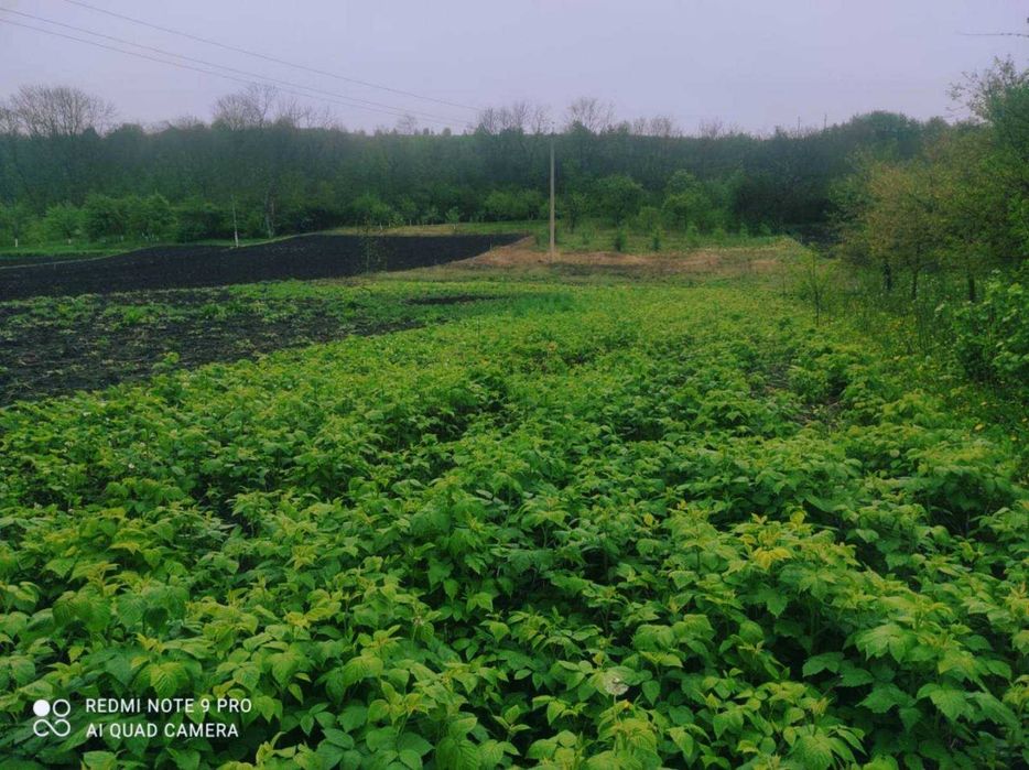 Продається будинок