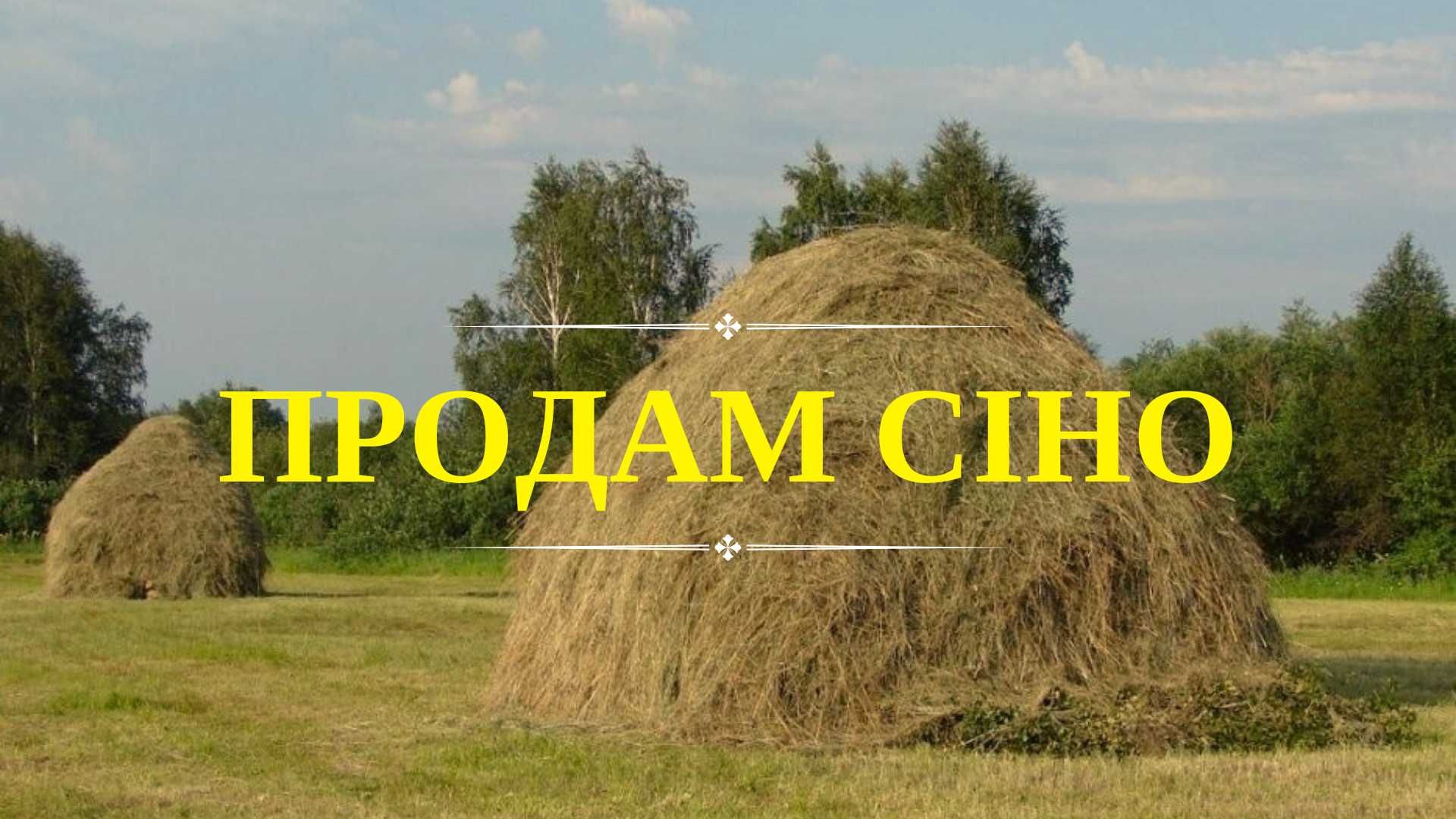 Продам лугове сіно