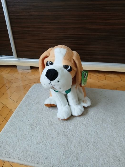 Pluszak piesek, który śpiewa operowo tenorem Axiom