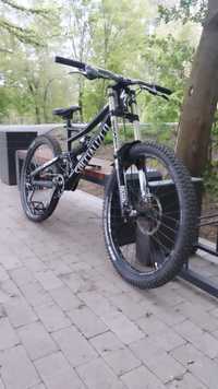 Specialized status 2