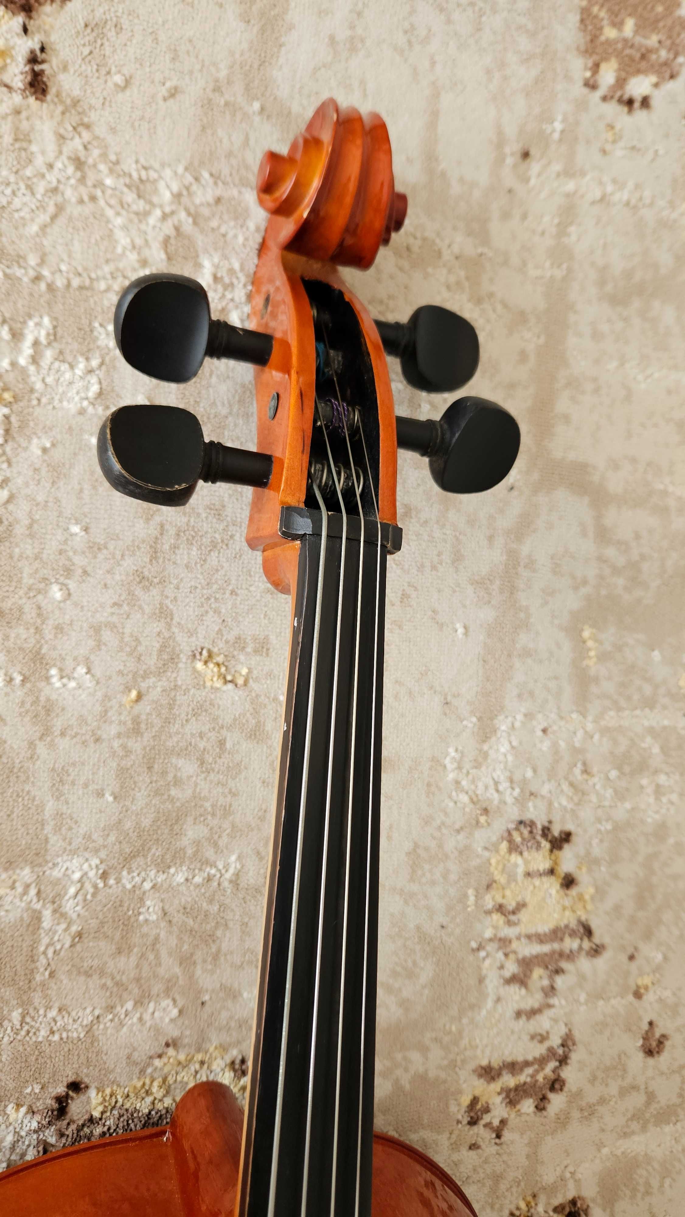 Violoncelo CERVINI 3/4
