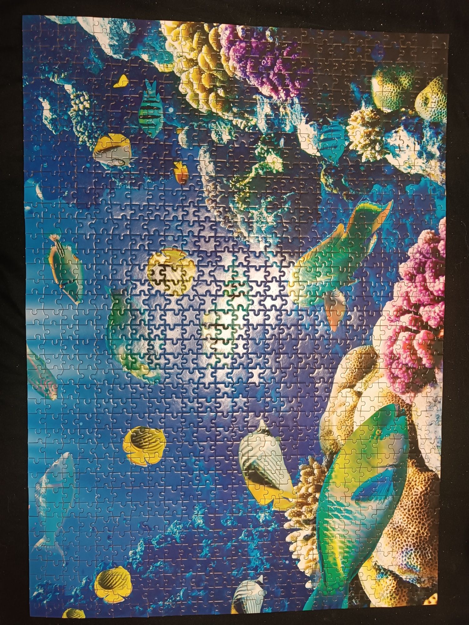 Puzzle ocean rybki rafa 1000 elementów