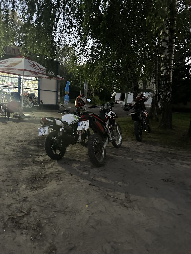 Geon pantera 250