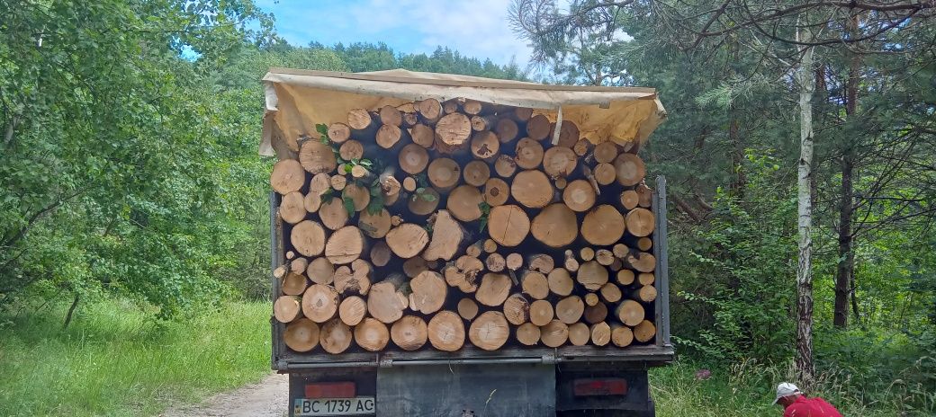 Продам дрова різних порід