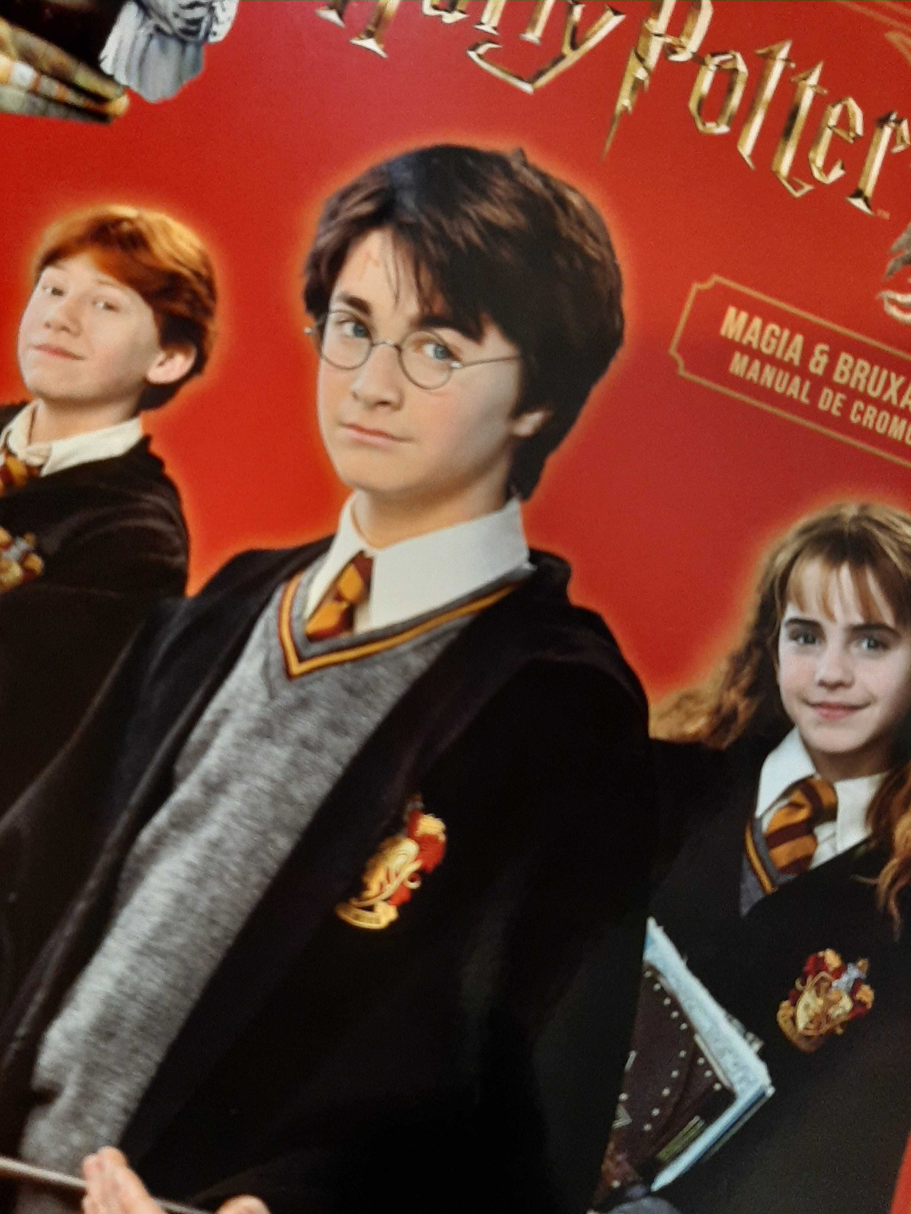 Vendo ou troco cromos harry potter 2022