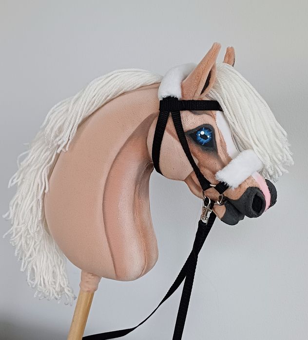 Izabelowaty konik Hobby Horse A4 + sprzęt