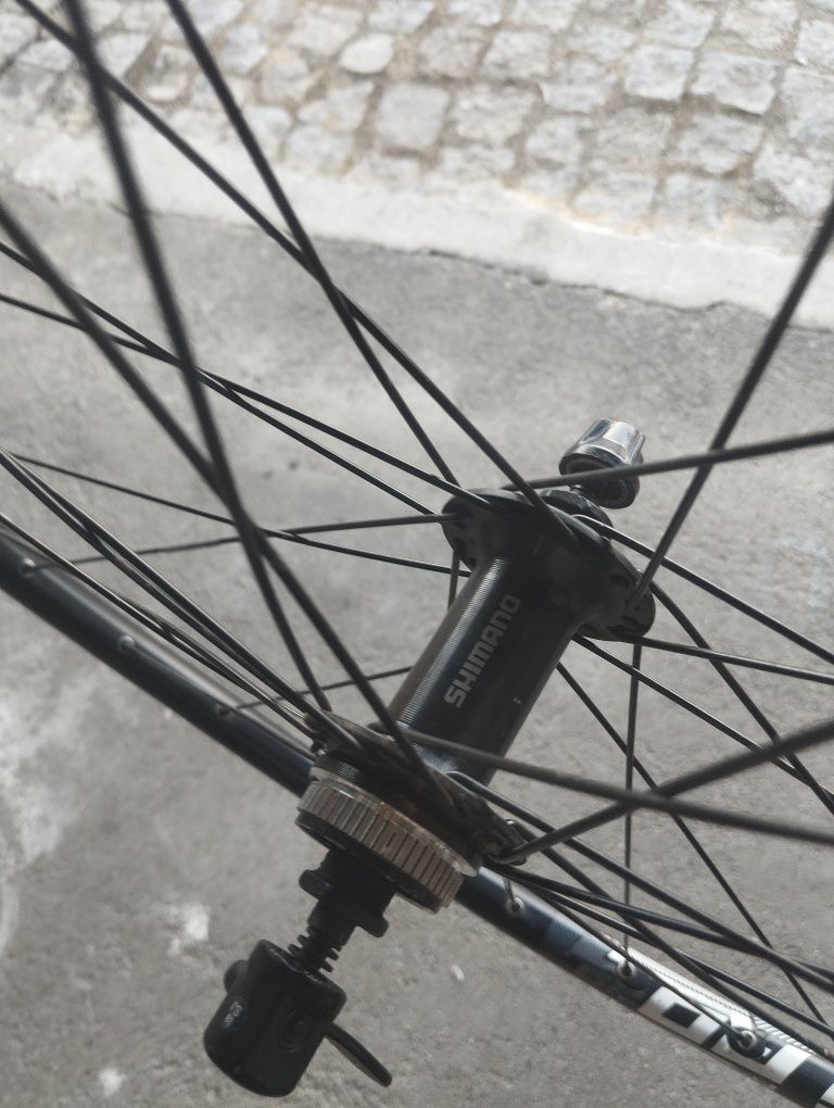 Rodas neuro disc