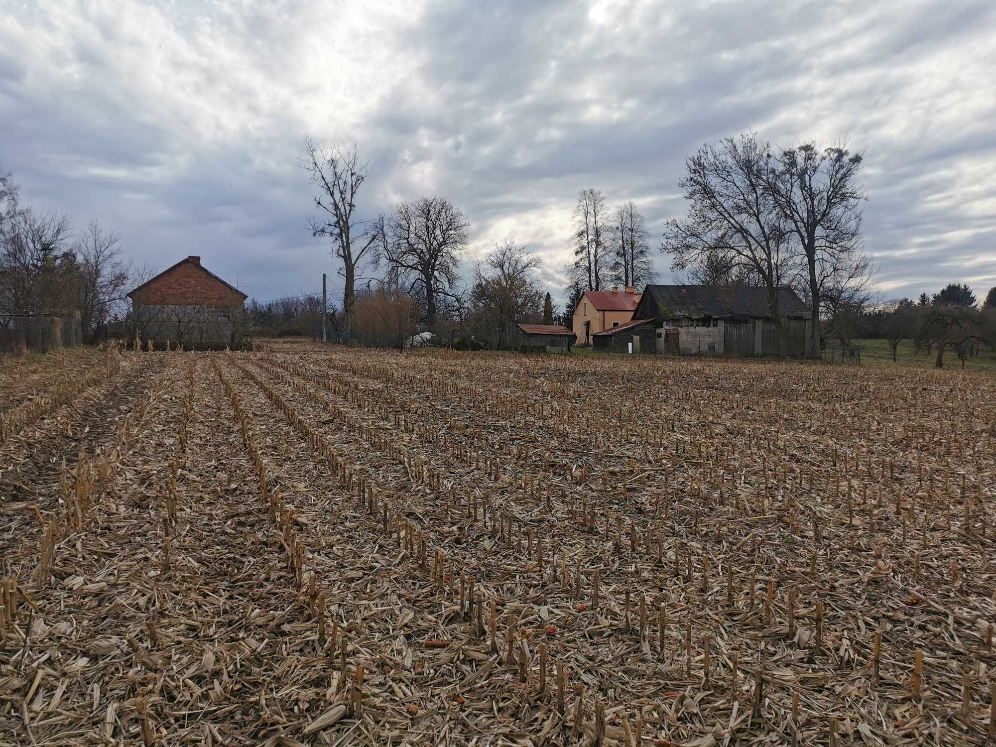 Działka Nowy Kamień/Sandomierz 2.78ha