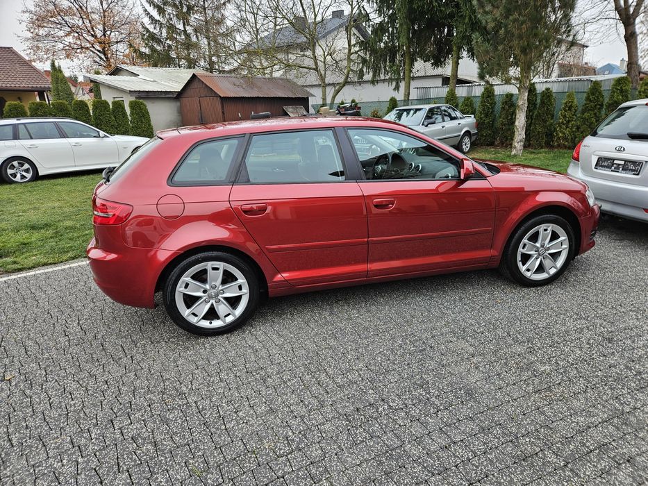 Audi a3 8p lift 1.6b 102ps