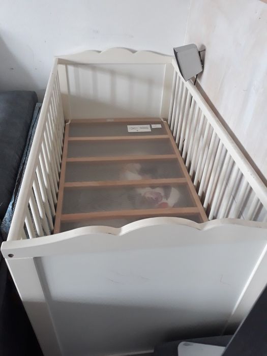 Cama de bebé para venda