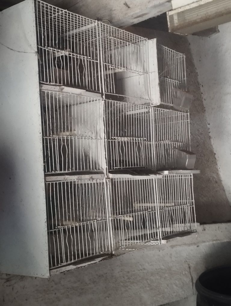 Gaiola para canários outros pássaros
