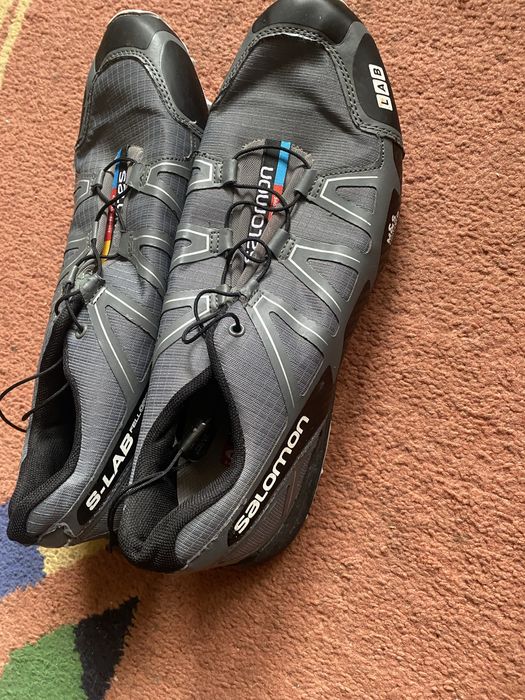 В гарному стані саламонт