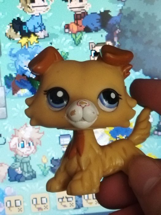 lps littlest pet shop collie