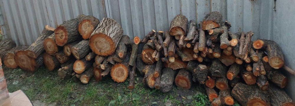 Дрова фруктовые, абрикос