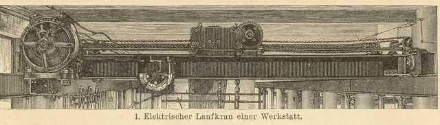 Żurawie  reprint XIX w. grafik