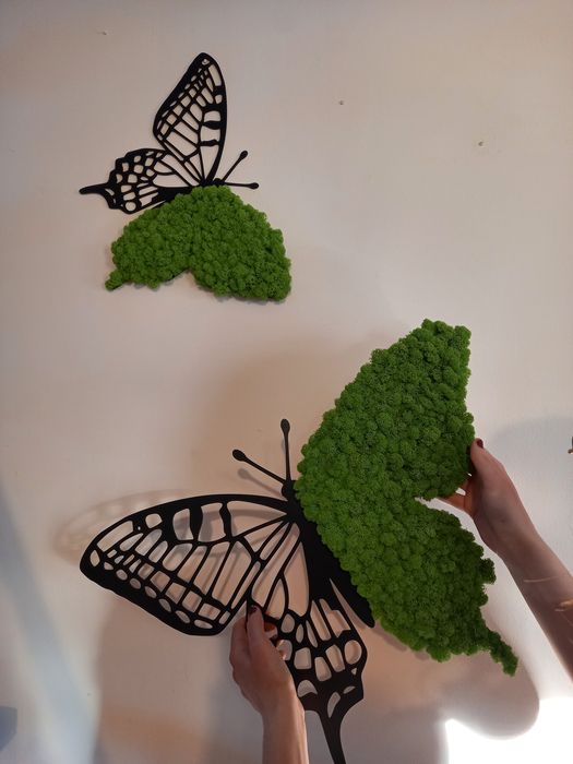 Motyl z mchem chrobotkiem Obraz na ścianie. Prezent. Dekoracje wnętrz