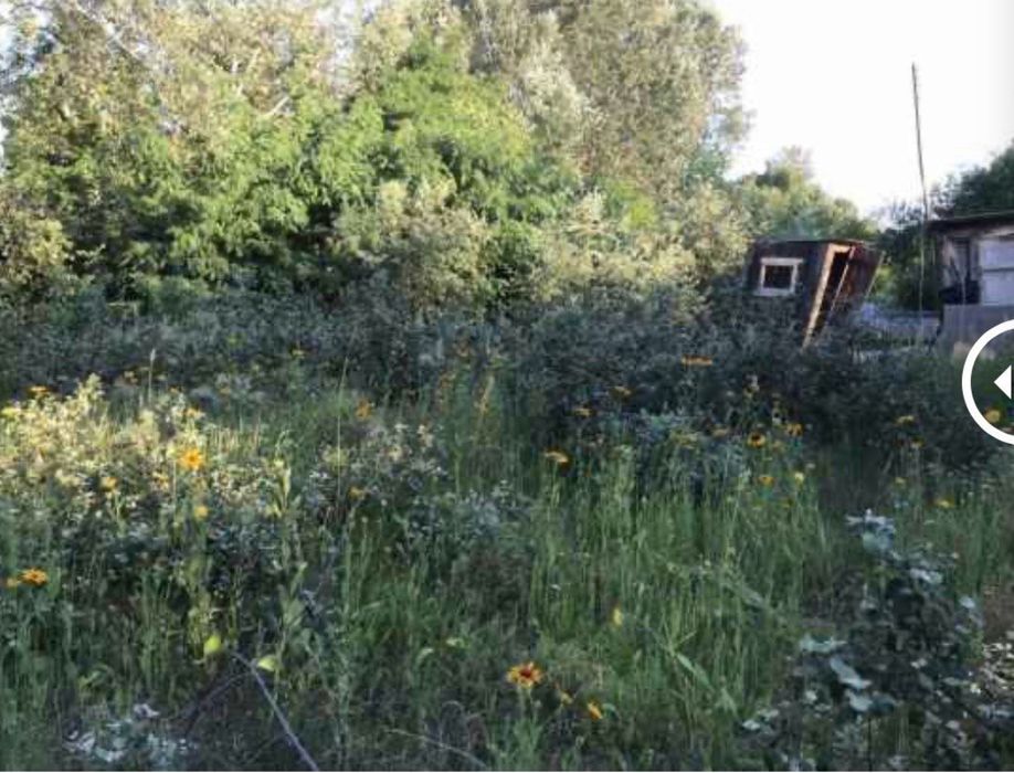 Розчистка ділянок/зрізання дерев/покос трави/прибирання/вивіз сміття