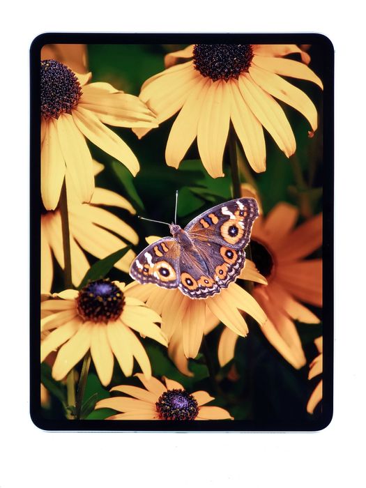 iPad Pro 13 2024 M4 Silver 256GB LTE 11 ЦИКЛІВ Dream Store