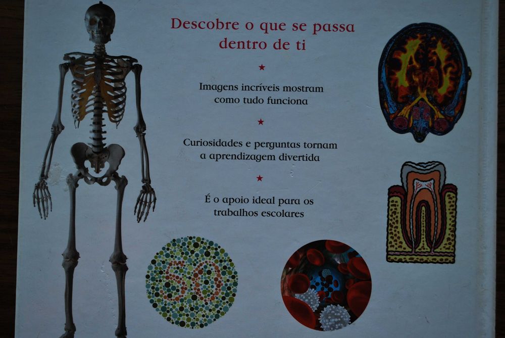 Primeira Enciclopédia do Corpo Humano