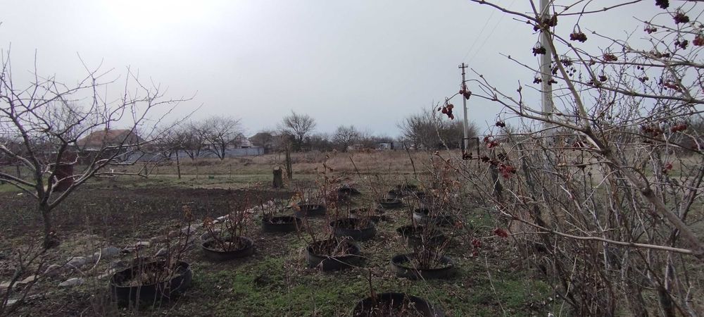 Коробка без внутрішніх робіт. Земельна ділянка 0,12га в с.Новому
