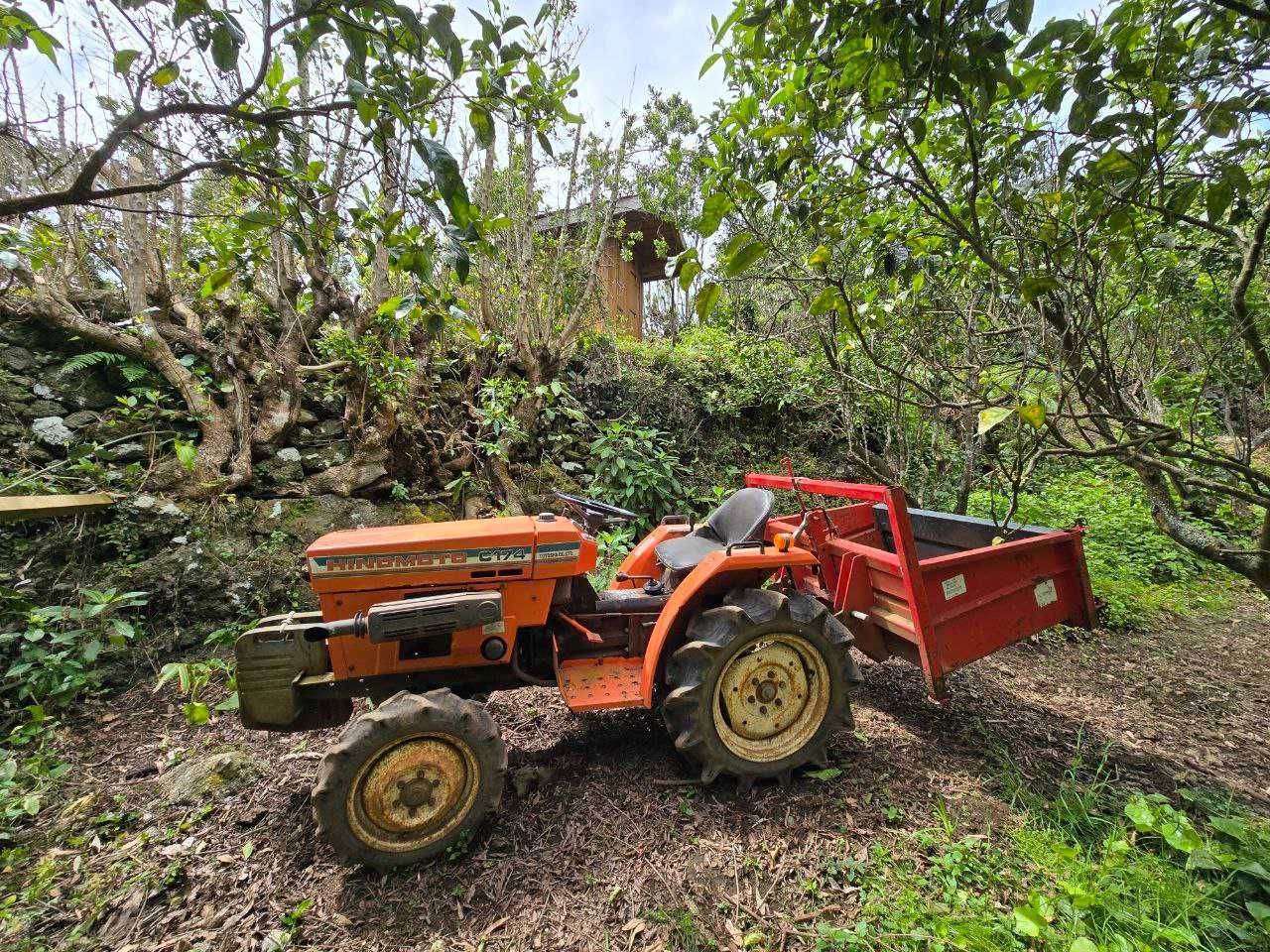 Terreno com pomar 3000m2